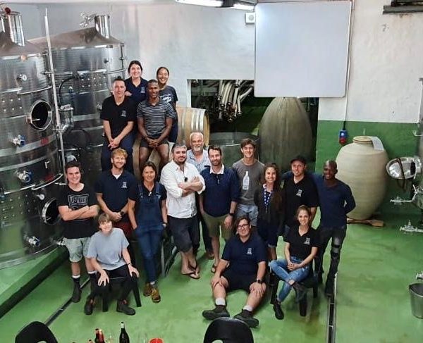A culinary adventure in the Cape winelands
